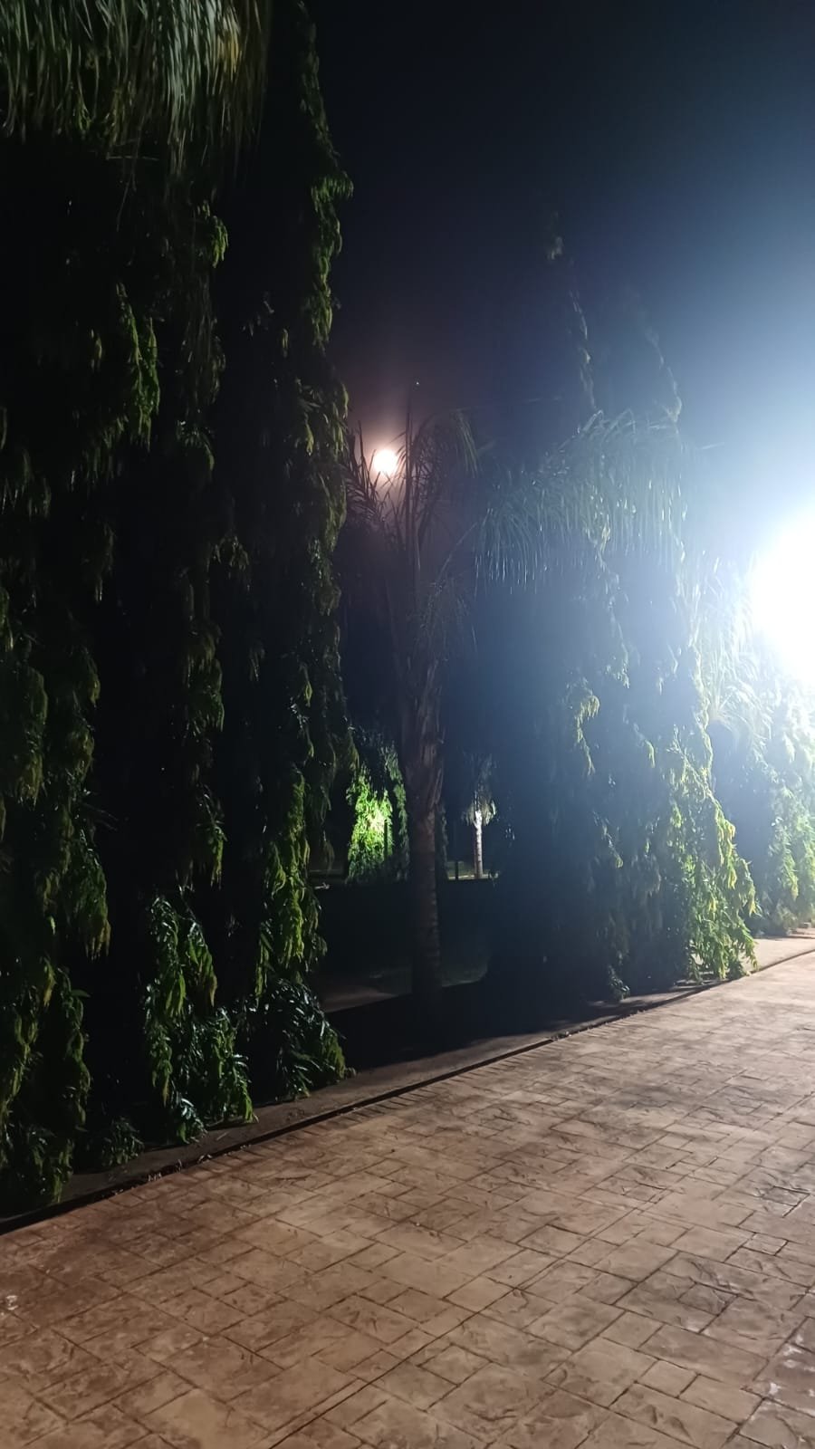 Área externa e lazer - Recanto Novos Ares